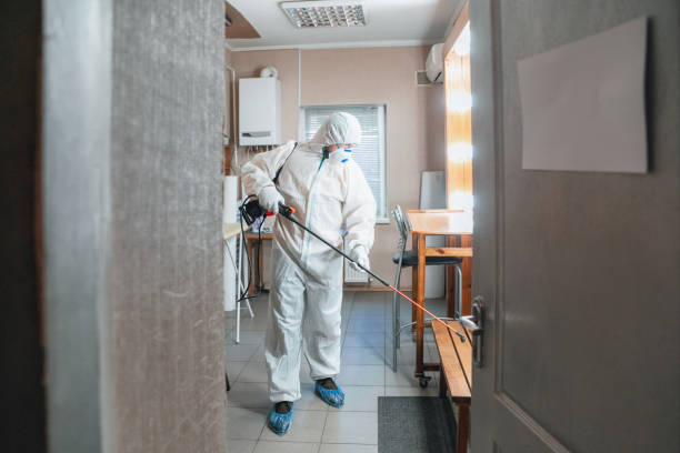 Best Mold Removal for HVAC Installations  in Compo, CT