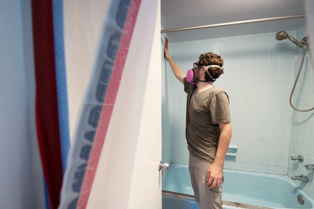 Best Mold Odor Removal Services  in Compo, CT