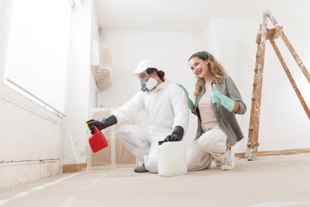 Best Environmental Consulting for Mold Prevention  in Compo, CT